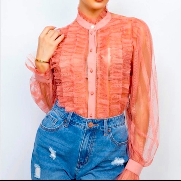 NEW Mauve Ruffle Mock Neck Sheer Long Sleeve Blouse - Picture 1 of 2